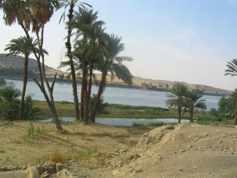 Let us arrange your Nile cruise to egypt